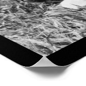 Poster Guitare mexicaine 1904 (Coin)