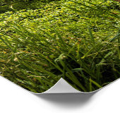 Poster Guizhou, Chine photo pittoresque, (Coin)