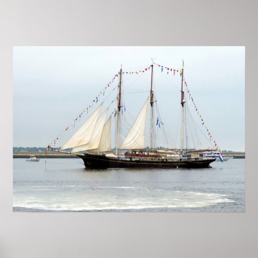 Poster Gulden Leeuw (Devant)