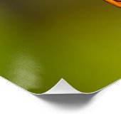 Poster Gulf Fritillary aka Passion Butterfly on Goldenrod (Coin)