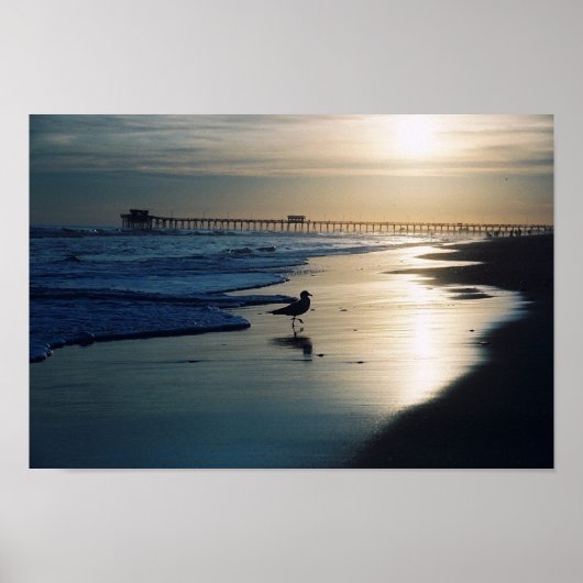 Poster Gull (Devant)