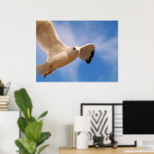 Poster Gull (Bureau à domicile)