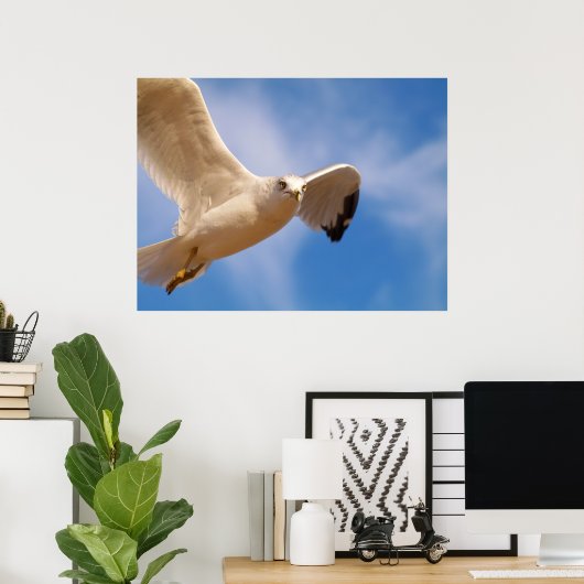 Poster Gull (Bureau à domicile)