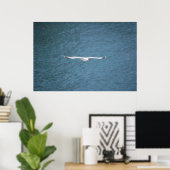 Poster Gull (Bureau à domicile)