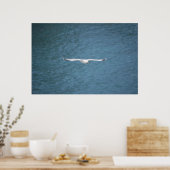 Poster Gull (Cuisine)