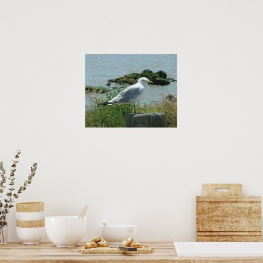 Poster - Gull on Piling (Cuisine)