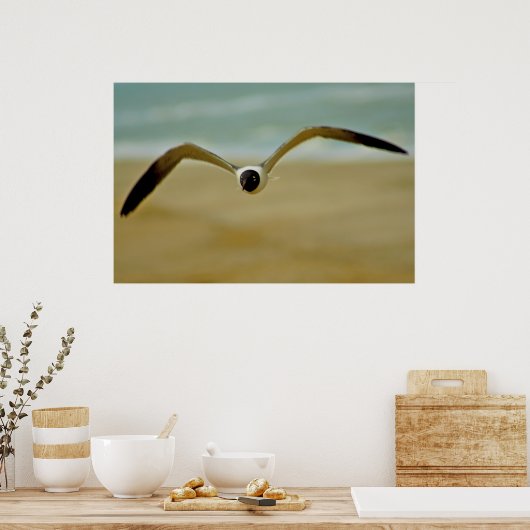 Poster Gull vient vers moi (Cuisine)