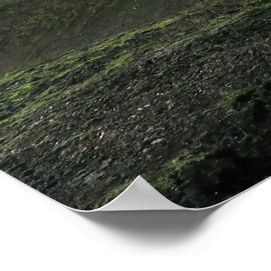 Poster Gullies (Coin)