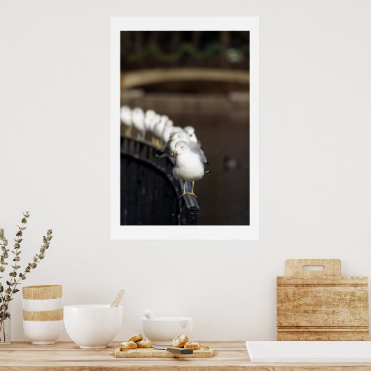 Poster Gulls in line (Cuisine)