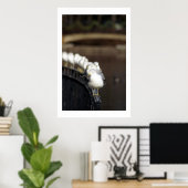 Poster Gulls in line (Bureau à domicile)