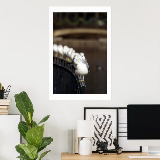 Poster Gulls in line (Bureau à domicile)