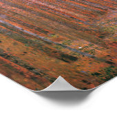 Poster Gustav Klimt Fir Forêt Tannenwald Arbres rouges (Coin)