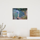 Poster Gustave Caillebotte - Le Bather / Le Plongeur (Cuisine)