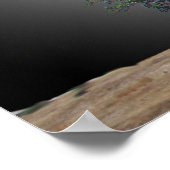 Poster - Gymnases Vol de fantaisie (Coin)