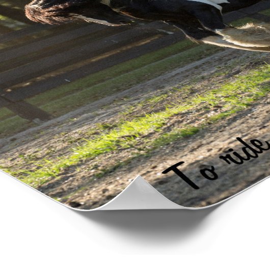 Poster Gypsy Gold Vanner prend son envol (Coin)