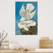 Poster Gyrfalcons, alias Gerfalcons par John James Audubo (Cuisine)