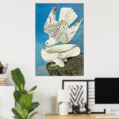 Poster Gyrfalcons, alias Gerfalcons par John James Audubo (Bureau à domicile)
