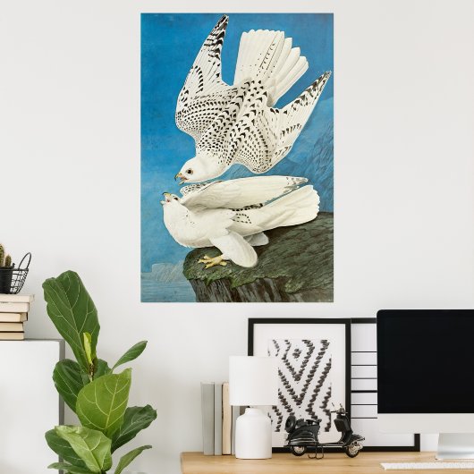 Poster Gyrfalcons, alias Gerfalcons par John James Audubo (Bureau à domicile)