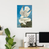 Poster Gyrfalcons, alias Gerfalcons par John James Audubo (Bureau à domicile)