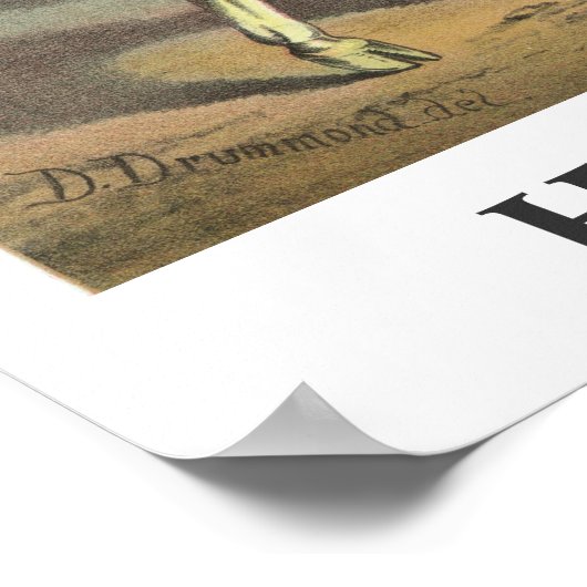 Poster H. & J. Pfaff Lager Beer titre modifiable (Coin)