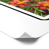 Poster H Monogramme Créez votre propre collection de phot (Coin)