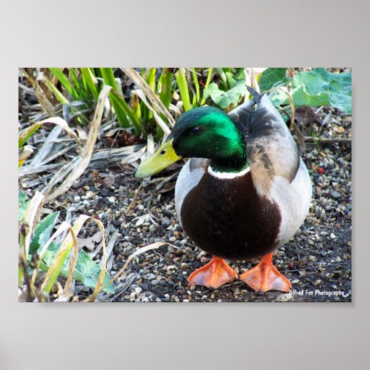 Poster Habillez pour impressionner (Devant)