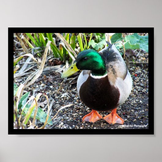Poster Habillez pour impressionner (Devant)
