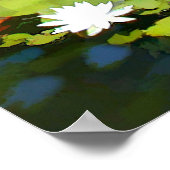 Poster Habitat de la couche d'eau (Coin)