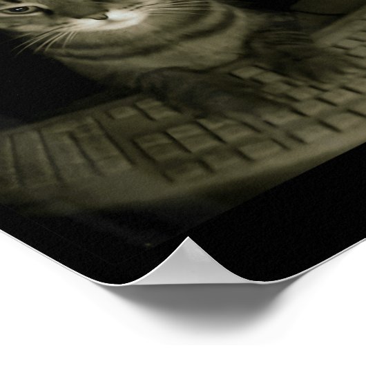 Poster Hacker Cat Meme Funny Computer Cat Kitten Gamer Ca (Coin)