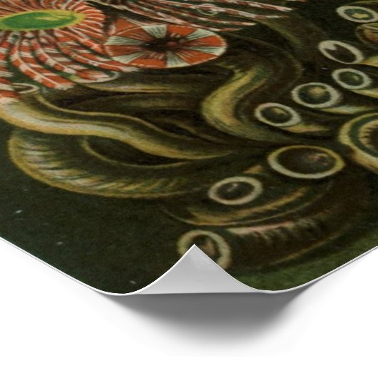 Poster Haeckel Centipedes (Coin)