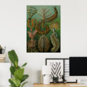 Poster Haeckel Centipedes (Bureau à domicile)