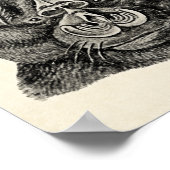 Poster Haeckel Chiroptera (Coin)