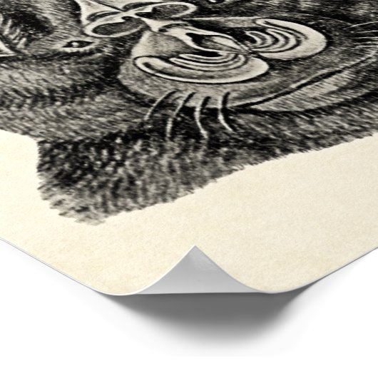 Poster Haeckel Chiroptera (Coin)