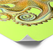 Poster Haeckel Octopus (Coin)