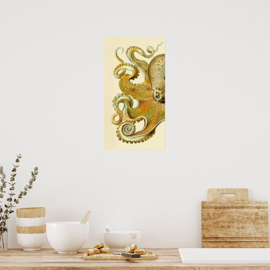 Poster Haeckel Octopus Diptych II (Cuisine)
