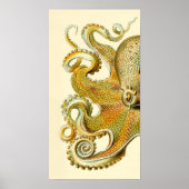 Poster Haeckel Octopus Diptych II (Devant)