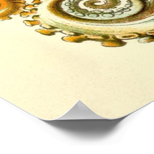 Poster Haeckel Octopus Diptych II (Coin)