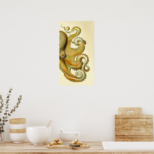 Poster Haeckel Octopus Diptyque I (Cuisine)