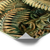 Poster Haeckel Palm Tree (Coin)