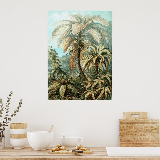 Poster Haeckel Palm Tree (Cuisine)