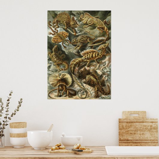 Poster Haeckel Reptiles (Cuisine)