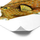 Poster Haeckel Tetrosomus Gibbosus (Coin)