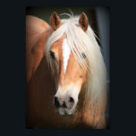 Poster Haflinger<br><div class="desc">Horse d'Haflinger</div>