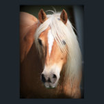 Poster Haflinger<br><div class="desc">Horse d'Haflinger</div>
