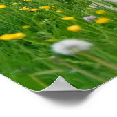 Poster Haflinger Horse Cute Fote Flowbed, Photo Animal (Coin)