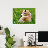 Poster Haflinger Horse Cute Fote Flowbed, Photo Animal (Bureau à domicile)