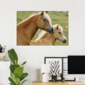 Poster Haflinger horse et foal (Bureau à domicile)