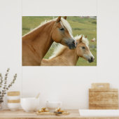 Poster Haflinger horse et foal (Cuisine)