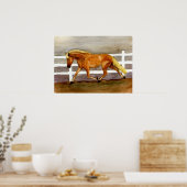 Poster Haflinger Horse Portrait (Cuisine)