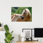 Poster Haflinger mare and foal cuddling (Bureau à domicile)